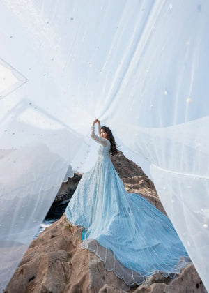 Aroosh - ELIZABETH - Formal - Sherry's wardrobe