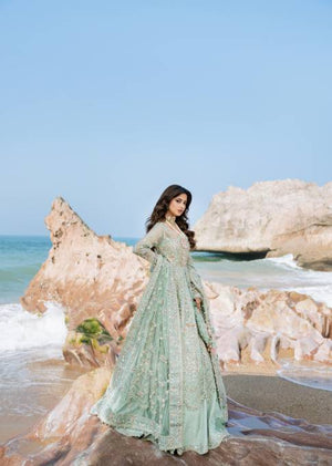 Aroosh - MISAQ - Formal - Sherry's wardrobe