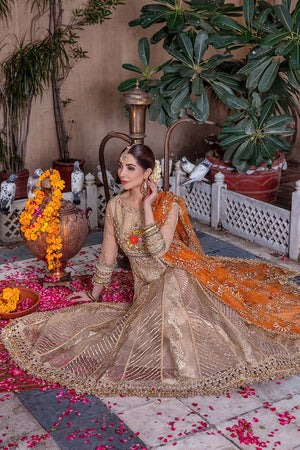 P-247 - Sherry's wardrobe