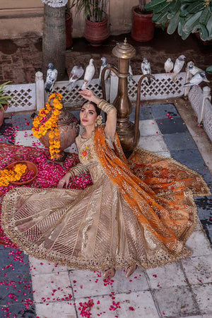 P-247 - Sherry's wardrobe