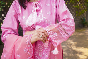 Satrangi - pinkish - Sherry's wardrobe