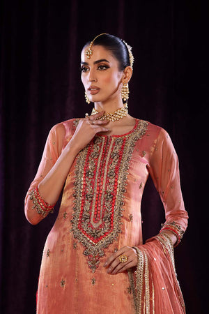 P-254 - Sherry's wardrobe