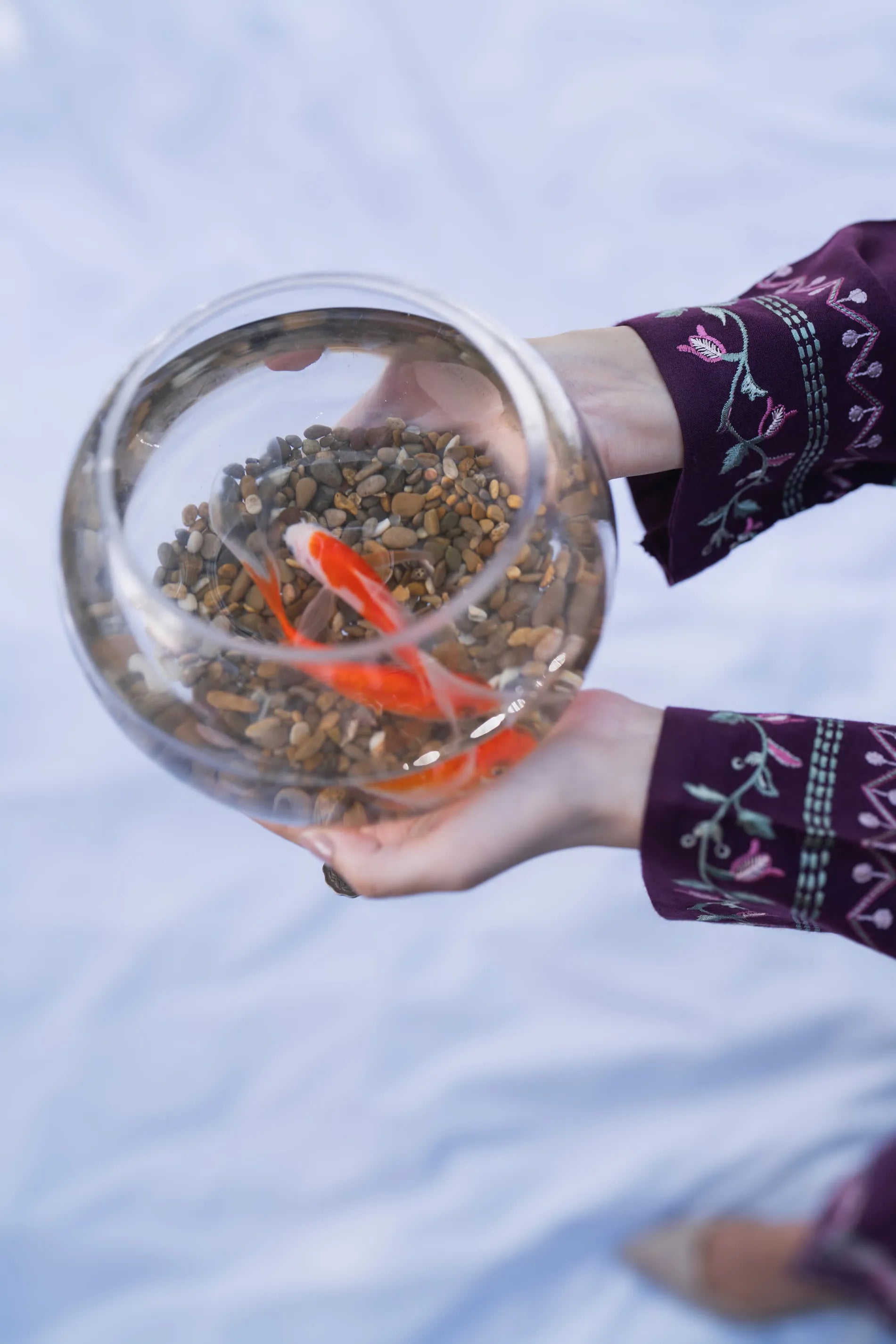 Casual Lite - Mulberry Nocturne