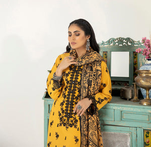 DNK-27 - Sherry's wardrobe