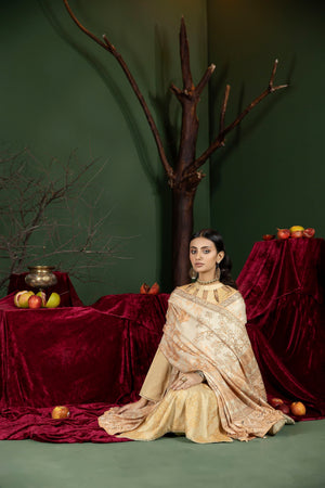 CTR-08 - Sherry's wardrobe