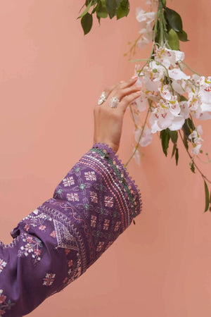 D23-11B - Sherry's wardrobe