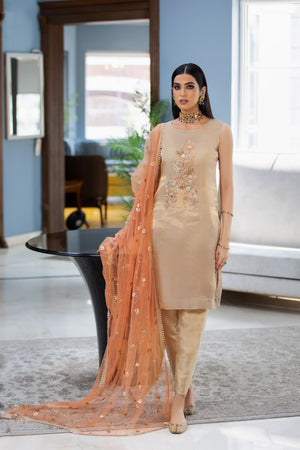 P-220 - Sherry's wardrobe