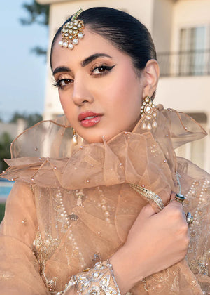 Ally's - AL-3746 - Formal - Sherry's wardrobe