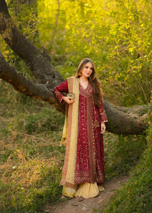 AL-3860 Red - Formal - Sherry's wardrobe