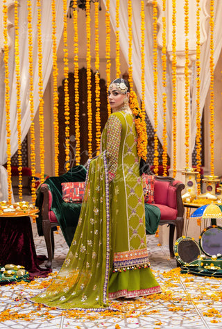 KCS-F-457 MEHNDI