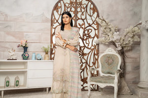 Sarang - 3Pc Velvet Suit (Pret) - Sherry's wardrobe