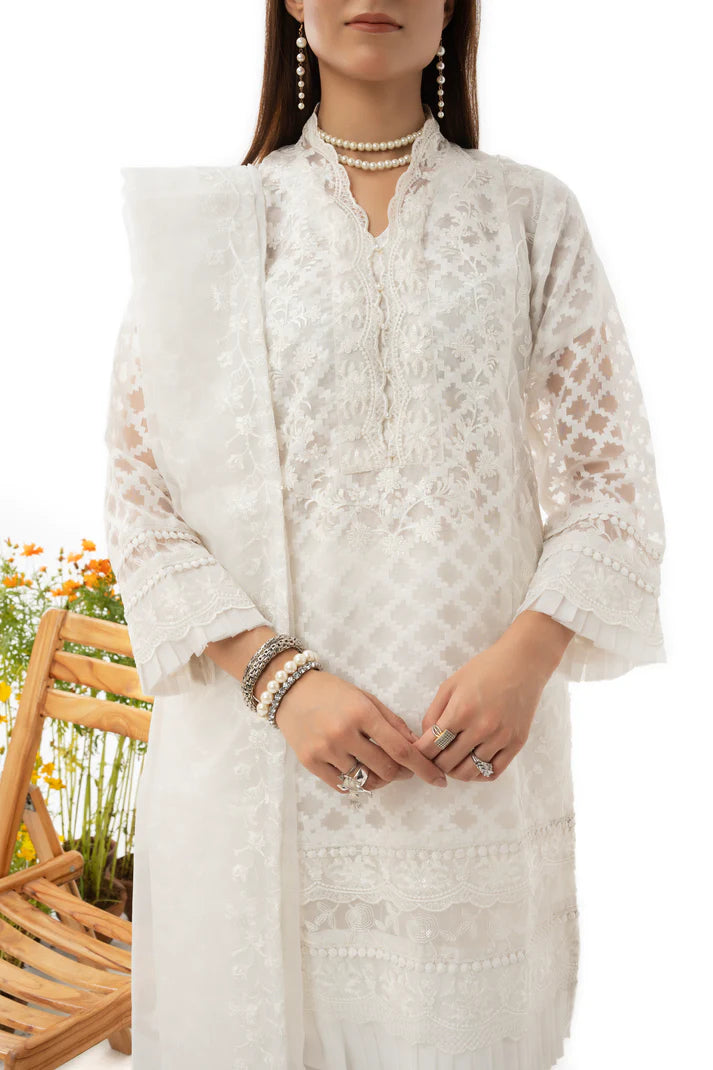 Stella - 3 Piece - Embroidered Organza - Sherry's wardrobe