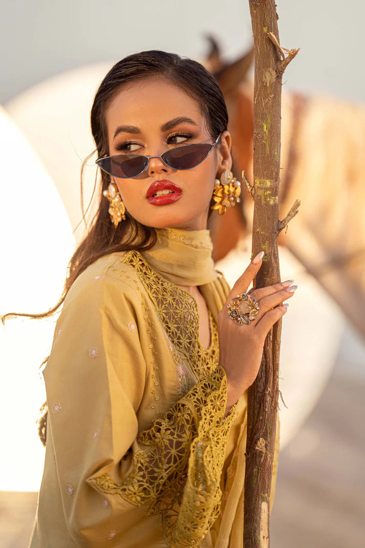 Seren – Sahil