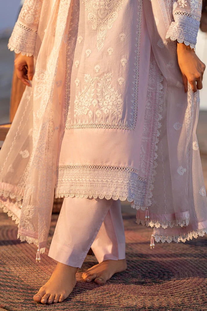 Naira – Sahil