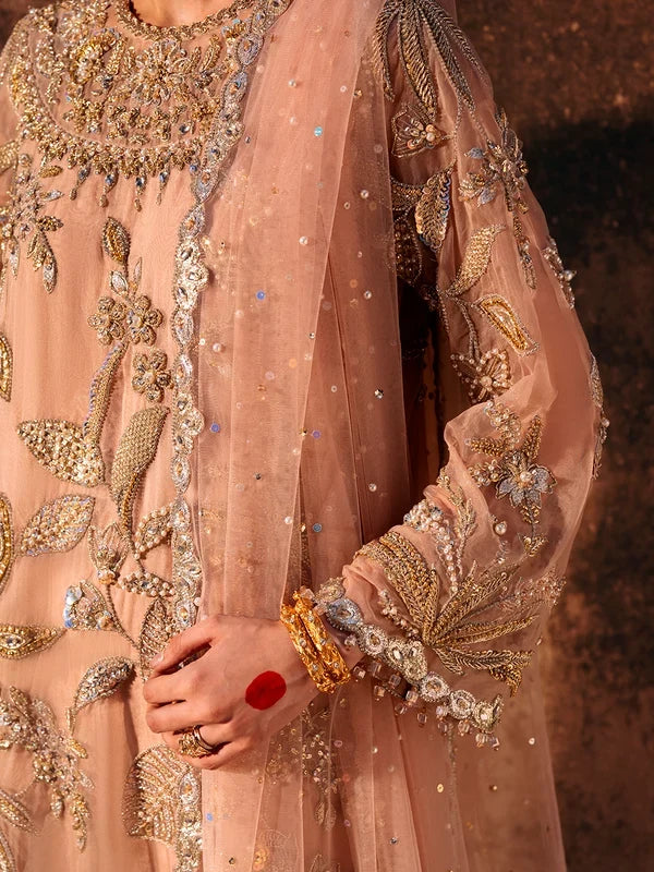 NOOR
