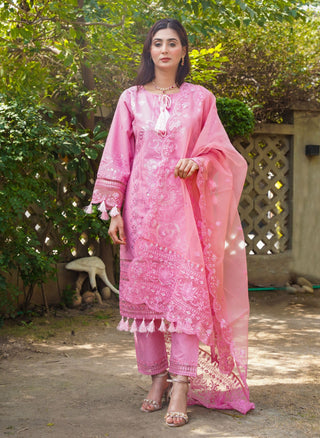 Satrangi - pinkish - Sherry's wardrobe