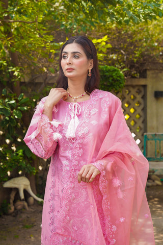 Satrangi - pinkish - Sherry's wardrobe