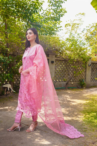 Satrangi - pinkish - Sherry's wardrobe