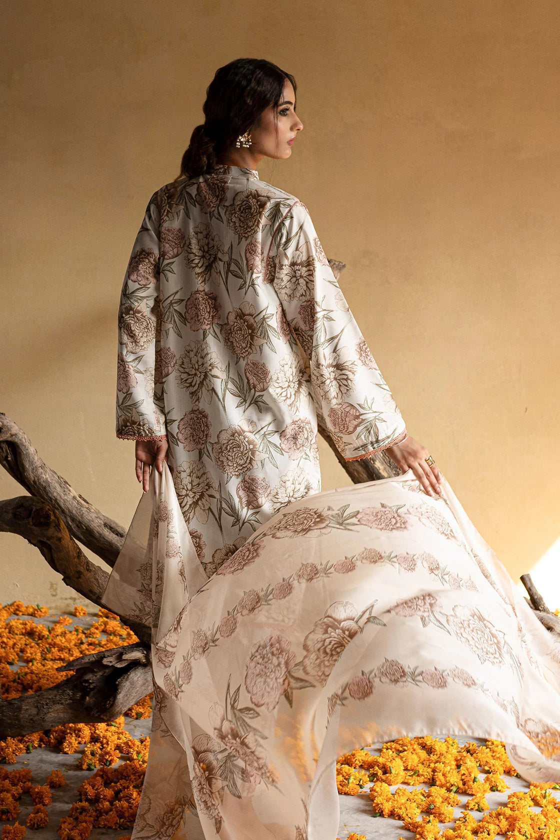 Zarineh - MN