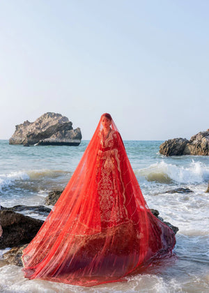 Aroosh- ZOHRA - Formal - Sherry's wardrobe