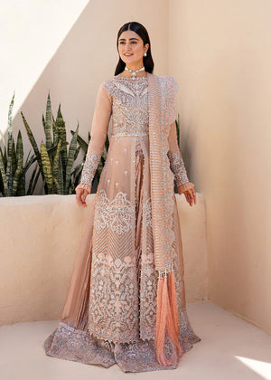 Zeena - Sherry's wardrobe