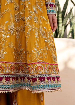 Zeb - Sherry's wardrobe