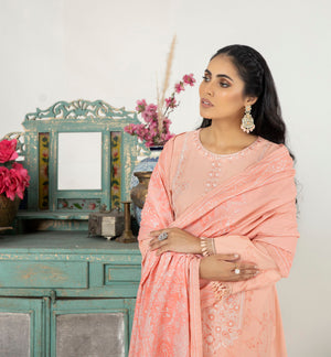 DNK-30 - Sherry's wardrobe