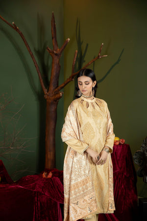 CTR-08 - Sherry's wardrobe