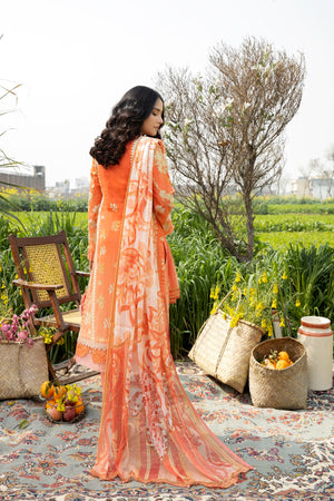 AL-511 - Sherry's wardrobe