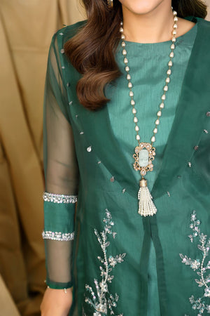 AN-20 - Sherry's wardrobe