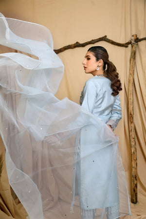 AN-17 - Sherry's wardrobe