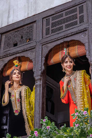 P-227 - Sherry's wardrobe